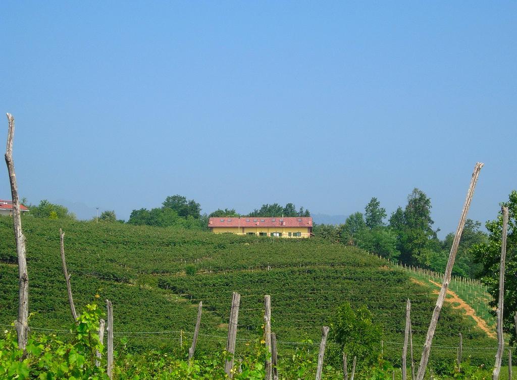Agriturismo Turina Bricherasio Luaran gambar