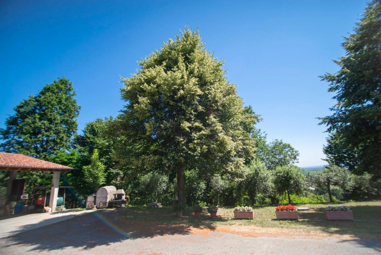 Agriturismo Turina Bricherasio Luaran gambar